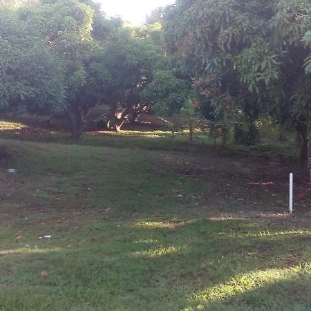 Residences Aux Saveurs Des Mangues Baillif Εξωτερικό φωτογραφία
